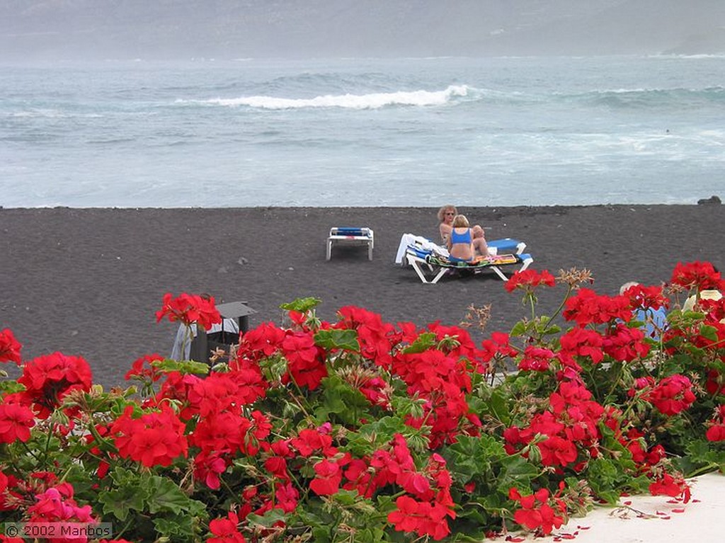 Tenerife
Puerto de la Cruz
Espa�a
