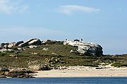 Isla de S�lvora
Caballos en S�lvora
Islas Cies
Foto: 1002