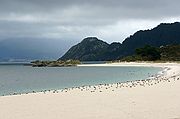 Isla de Monteagudo
Islas Cies
Foto: 1053