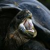 Islas Galapagos