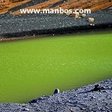 Lanzarote 2004