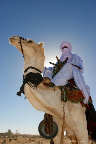 Tuareg de Tamanrassett