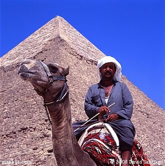 Camellero frente a la piramide