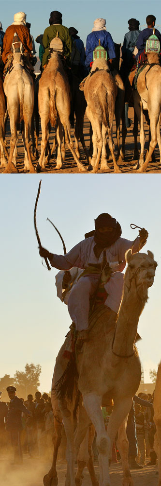 Carreras de camellos en Tamanraset