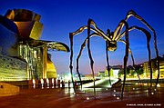 Bilbo
Museo Guggenheim
Picture: 3306 Votes: 4/5