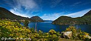 San Martin de los Andes
Lago Lacar
Guillermo F. Fernandez Gallery
SAN MARTIN DE LOS ANDES
Foto: 19953