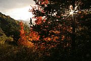 Camera Canon EOS 350D DIGITAL
Otoño en Ordesa
Federico Arnau Vidal Gallery
ORDESA
Photo: 21610