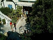 Camera Olympus
Patio interior
Gabriel García Fernández Gallery
SIDI BOU SAID
Photo: 12087