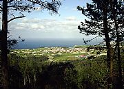 Camera Werlisa PX 3010
Panorámica rasa costera asturiana
Javier Pérez González Gallery
NOVELLANA
Photo: 10761