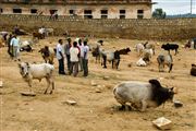 Photo of Etiopia , Ethiopia