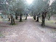 Foto de Villa Adriana, Italia - Luces ultimas