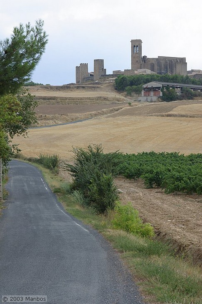 Olite
Iglesia de Santa María
Navarra