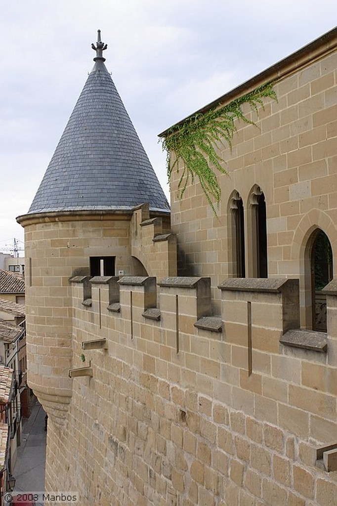 Olite
Palacio Nuevo de Olite
Navarra