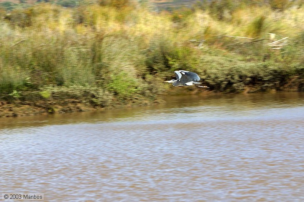 Rio Arade
Piraguas por el Arade
Arade