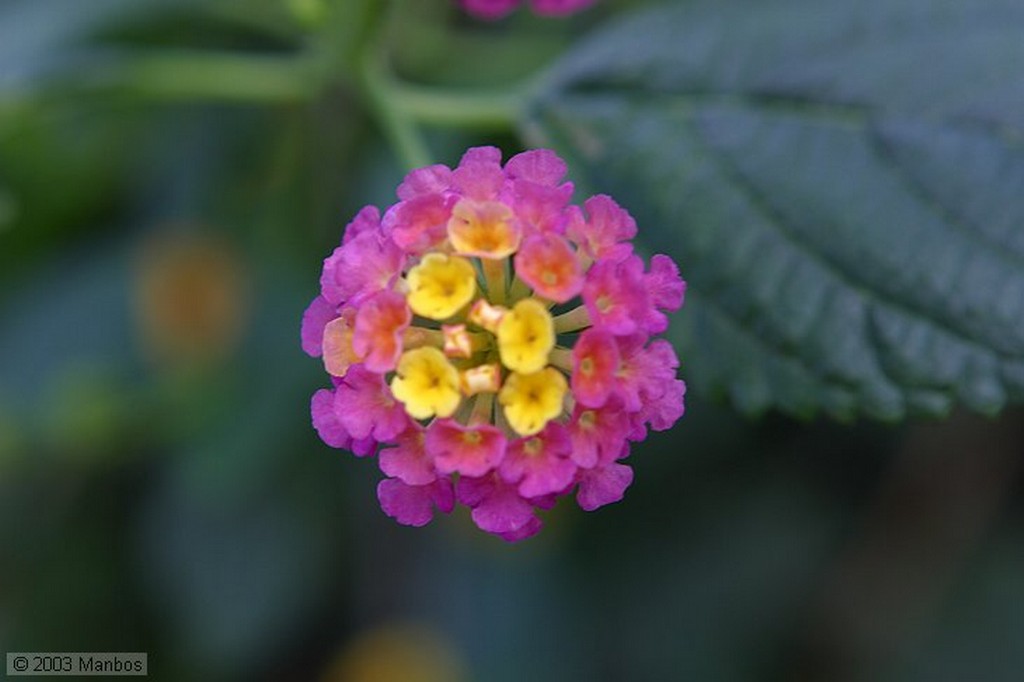 Lanzarote
Canarias