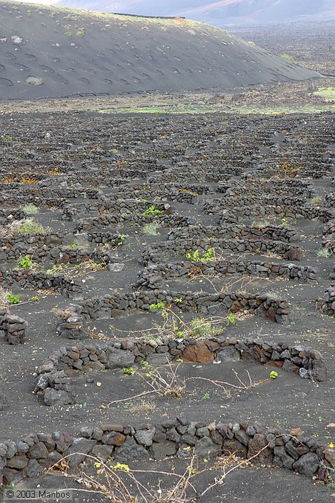 Lanzarote
Cultivos en La Geria
Canarias