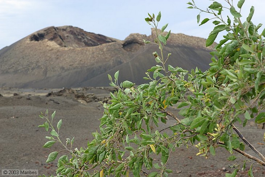 Lanzarote
Canarias