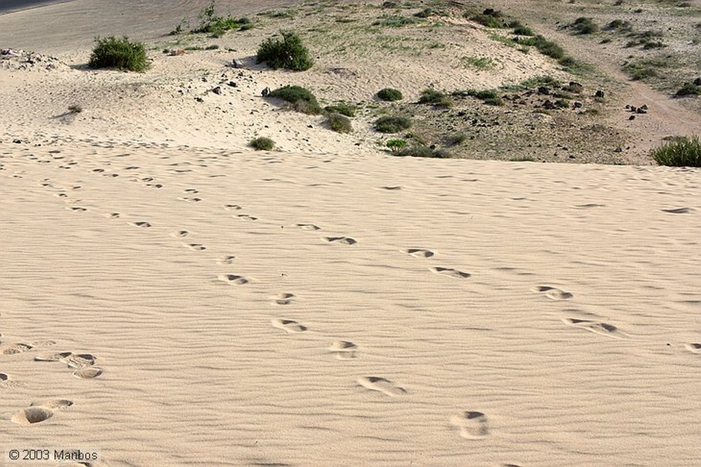 Fuerteventura
Canarias