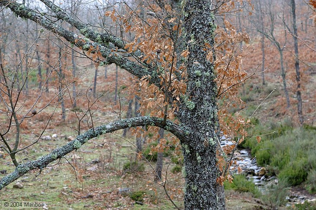 Sierra de Francia
Salamanca