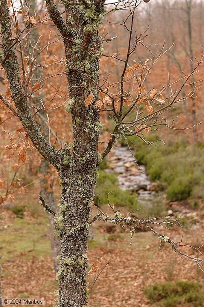 Sierra de Francia
Salamanca