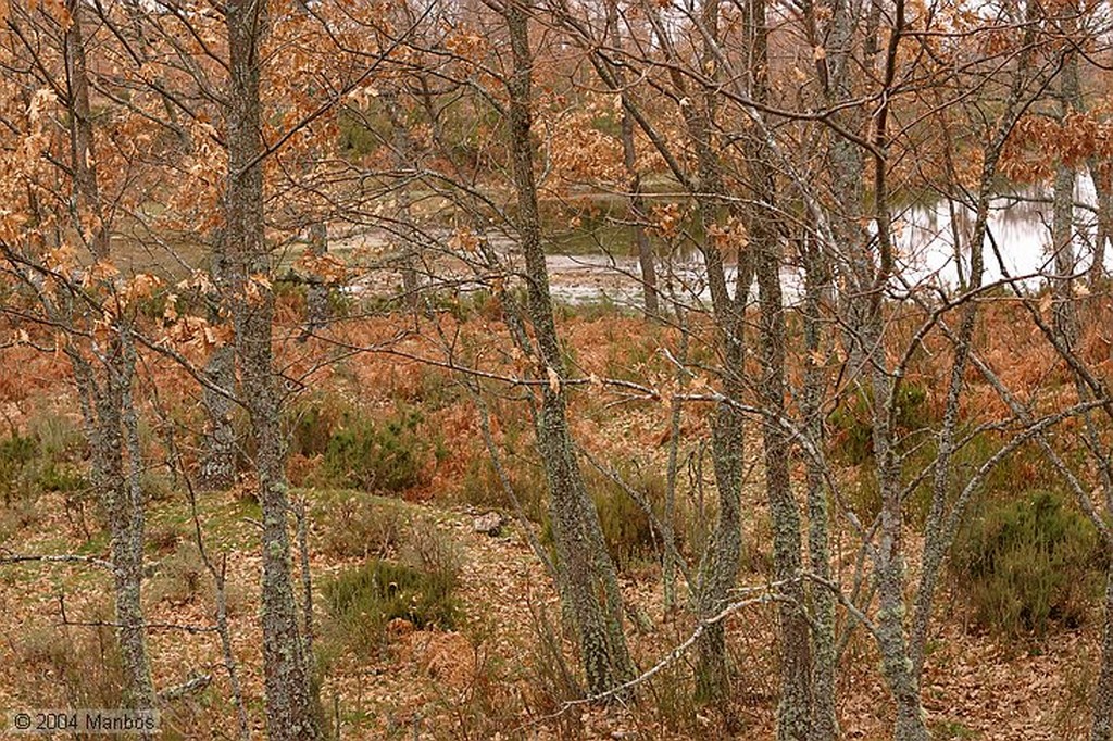 Sierra de Francia
Niebla en los árboles
Salamanca