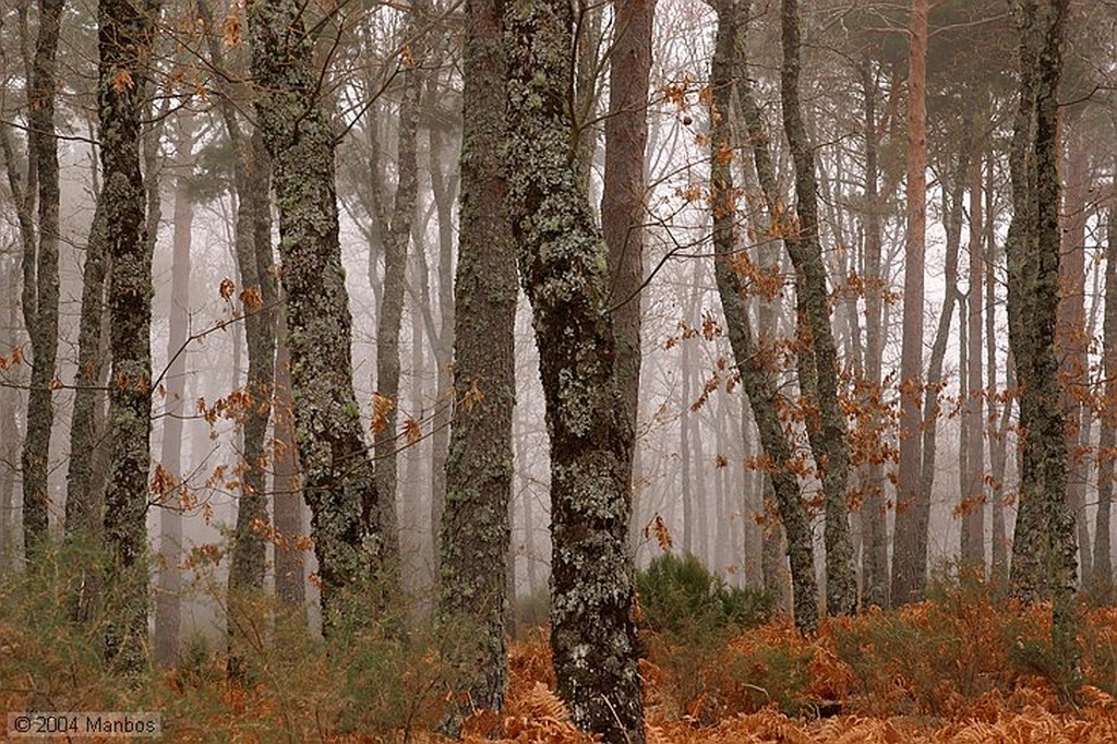 Sierra de Francia
Salamanca