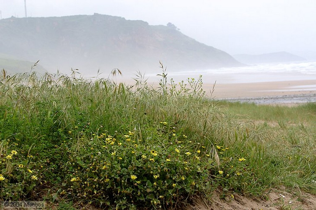 Playa de Nava
Asturias