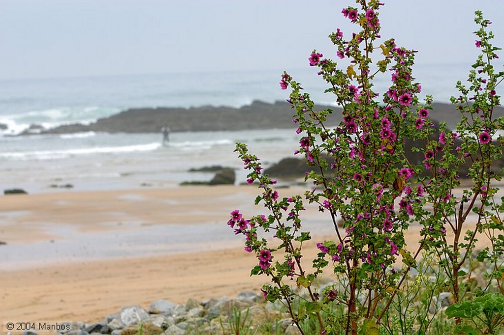 Playa de Nava
Asturias