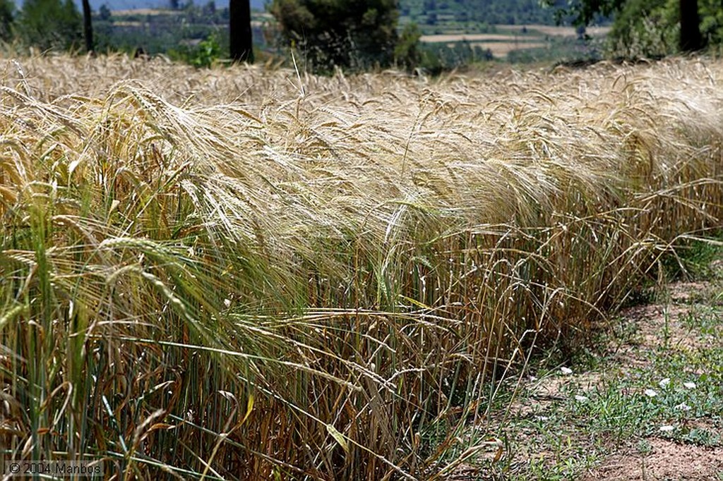 Sant Mateu de Bages
Paisatge i Aventura
Barcelona