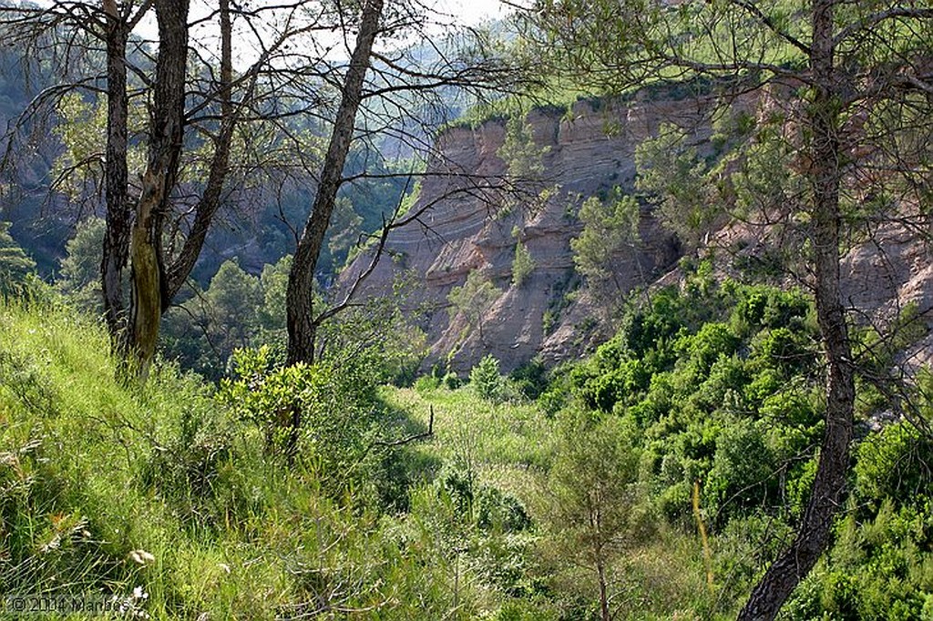 Coaner
Ruta en BTT
Barcelona