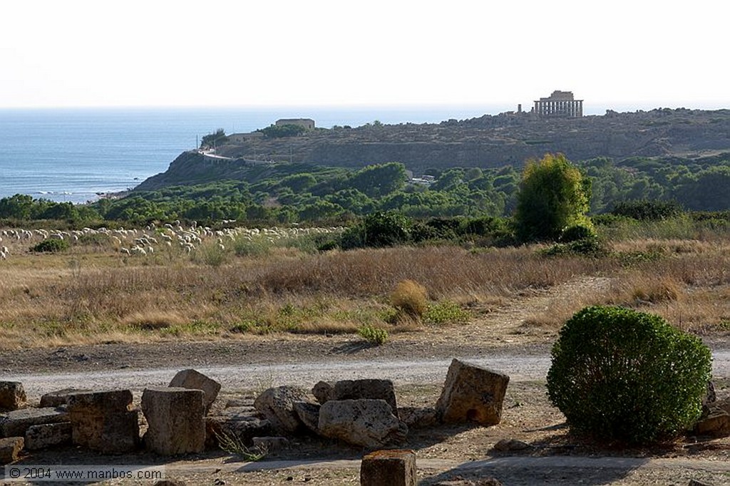 Selinunte
Sicilia