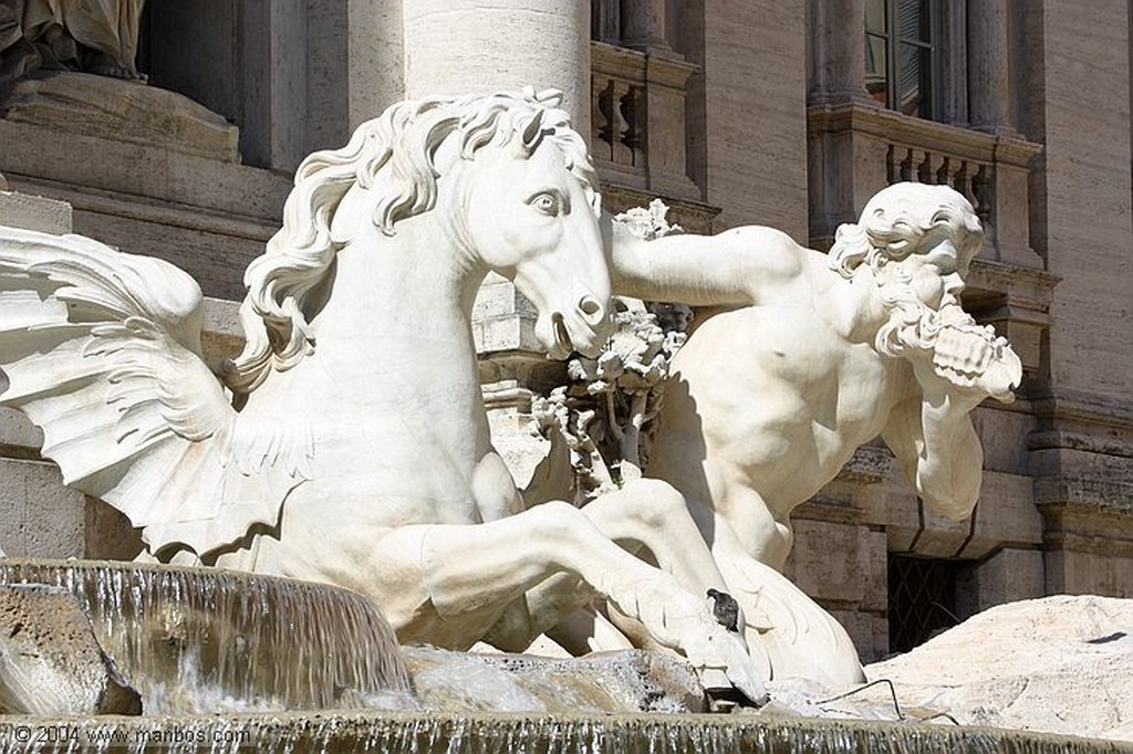 Roma
Fontana di Trevi - Neptuno
Roma