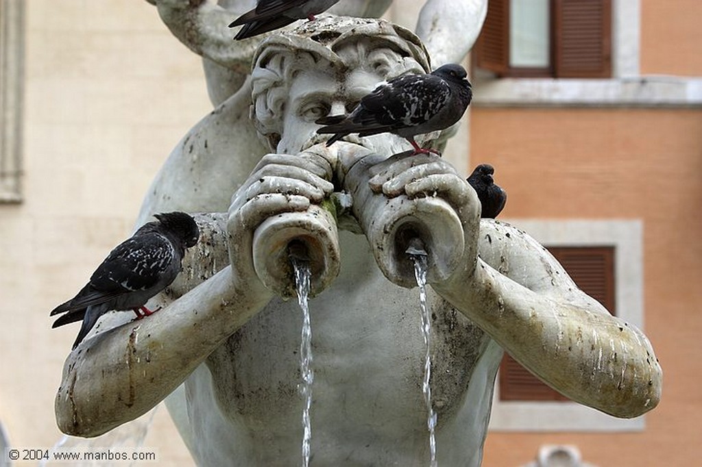 Roma
Fontana del Moro
Roma