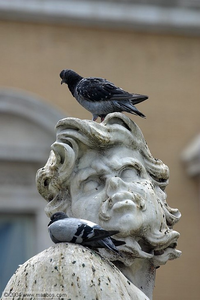 Roma
Fontana dei Fiumi
Roma