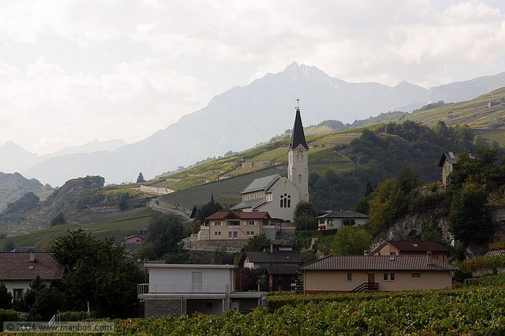 Sion
Viñedos
Valais