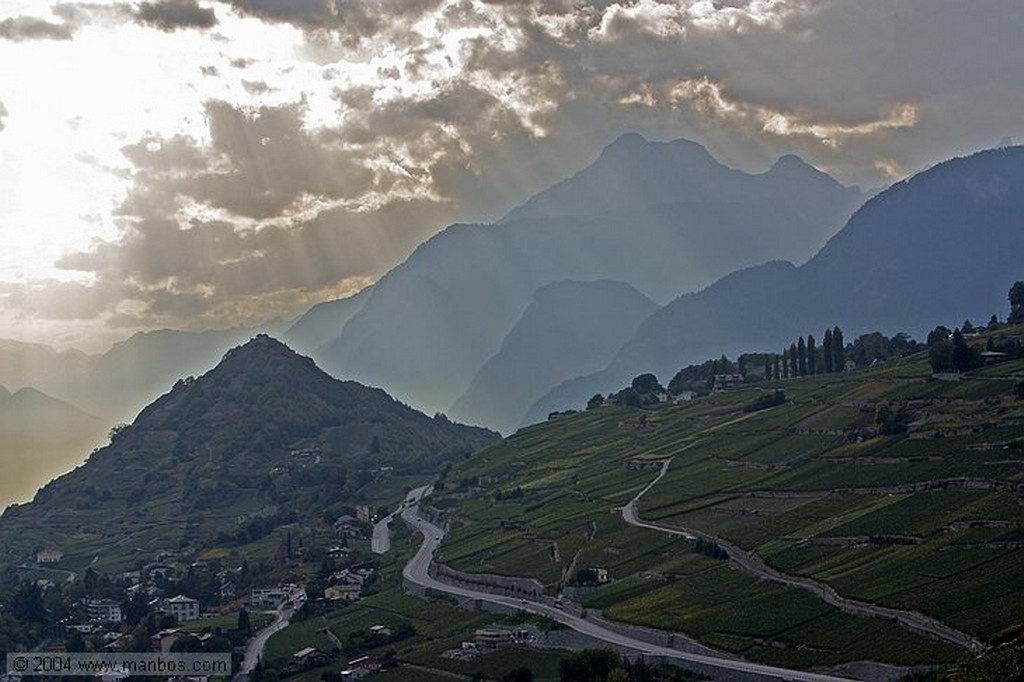 Sion
Hojas de vid
Valais