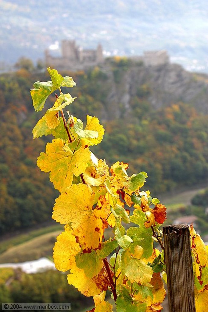 Sion
Bisse de Clavau
Valais