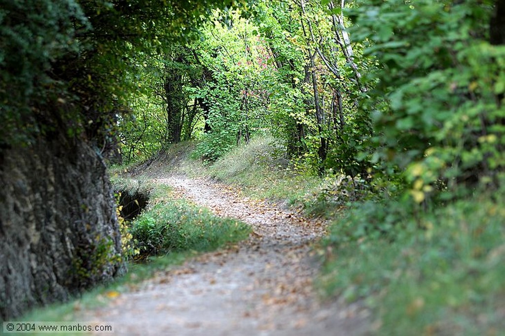 Sion
Valais