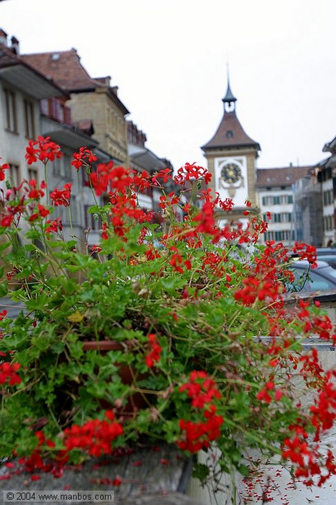 Murten/Morat
Pays de Fribourg