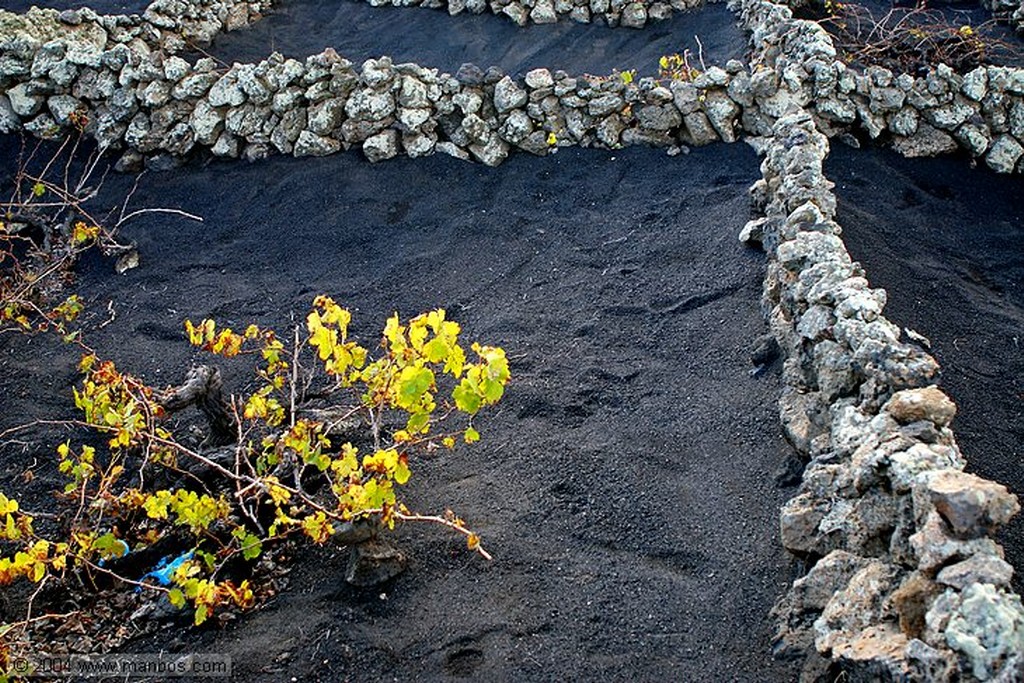 Lanzarote
Canarias