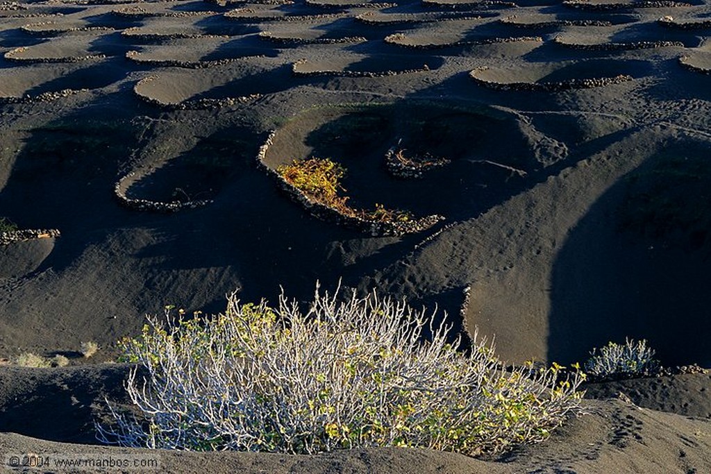 Lanzarote
Canarias