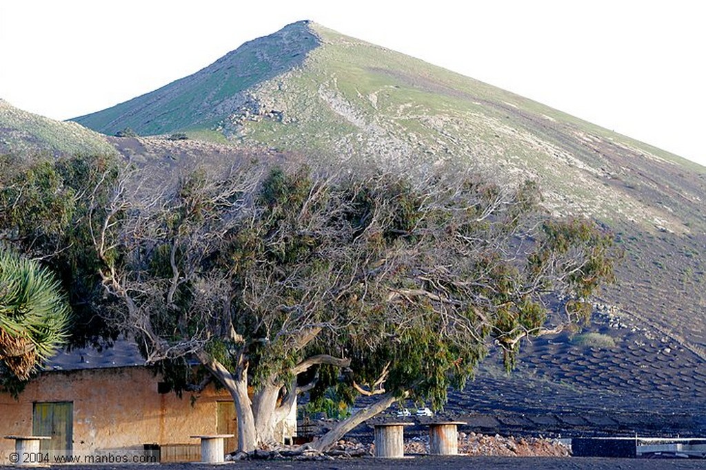 Lanzarote
Canarias