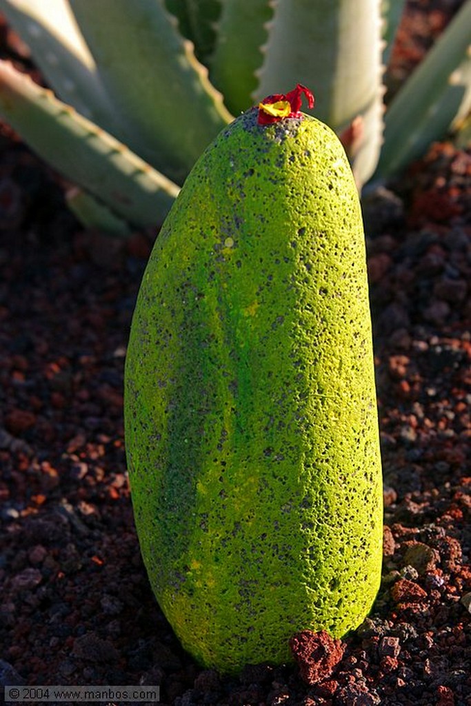 Lanzarote
Canarias