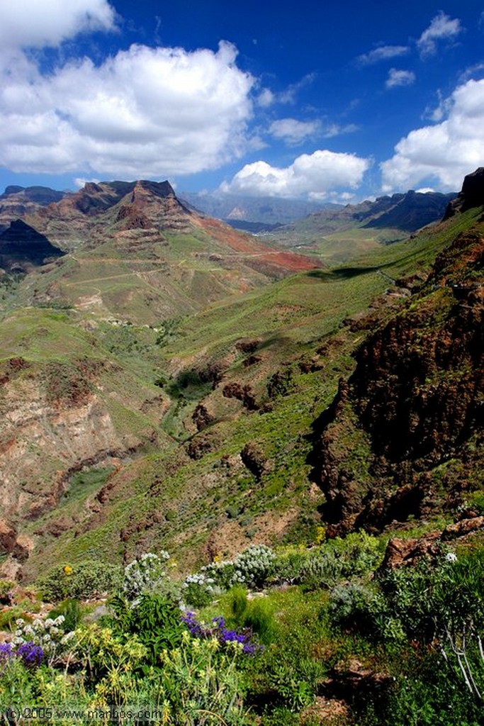 Gran Canaria
Mirador de Arteara
Canarias