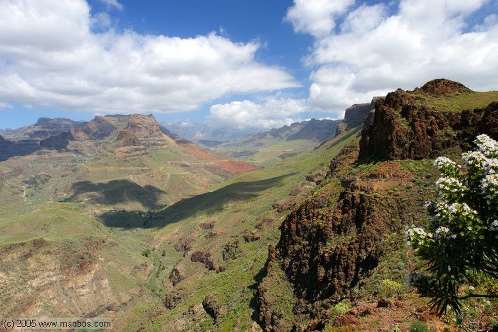 Gran Canaria
Canarias