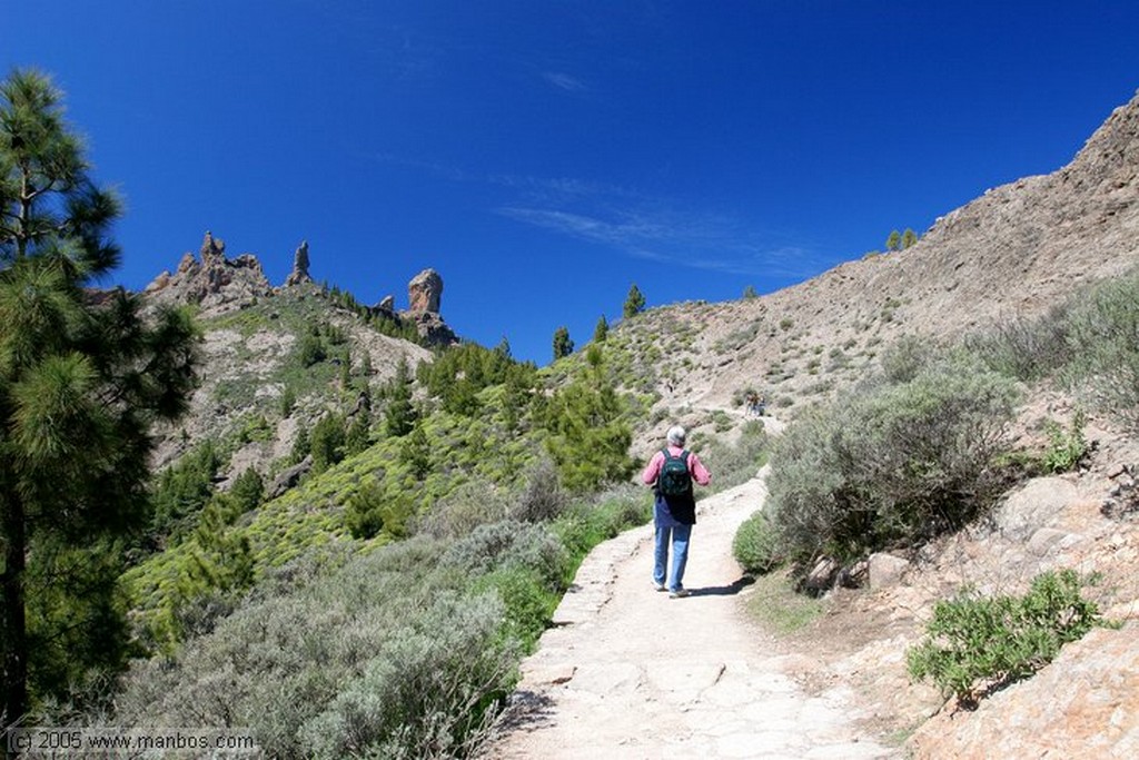 Gran Canaria
Vista del Teide desde Roque Nublo
Canarias