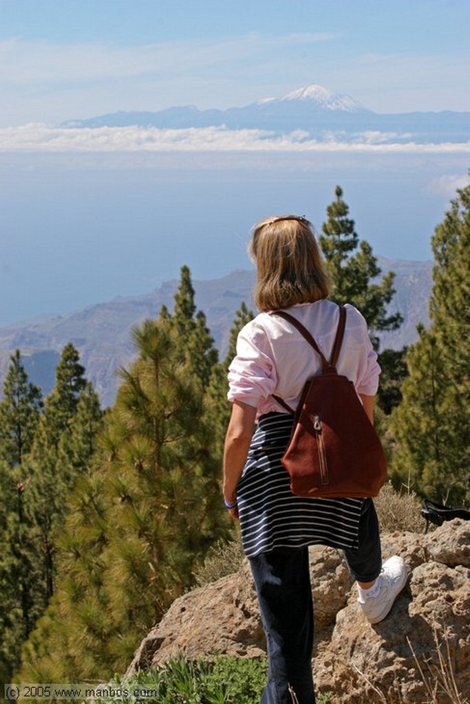 Gran Canaria
El Roque
Canarias