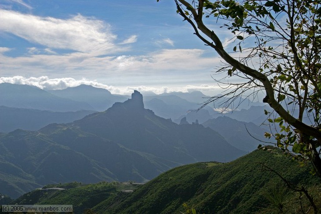 Gran Canaria
Vista del roque Nublo con el Teide al fondo
Canarias