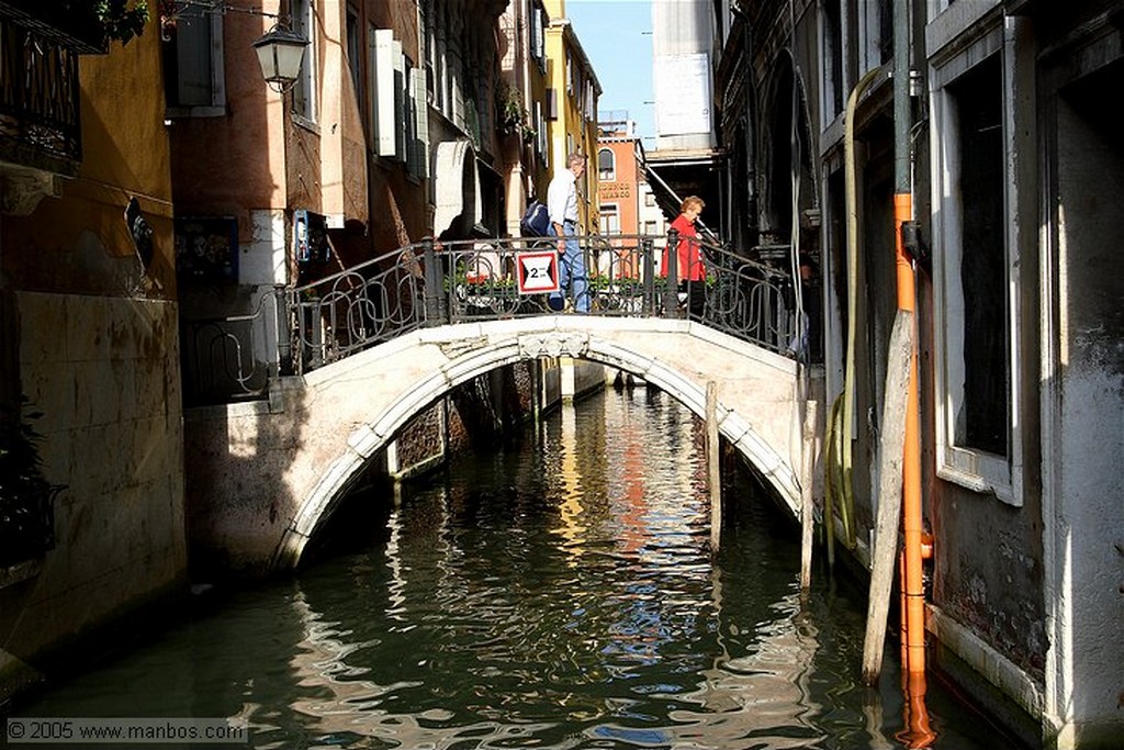 Venecia
Las palomas de San Marcos
Venecia