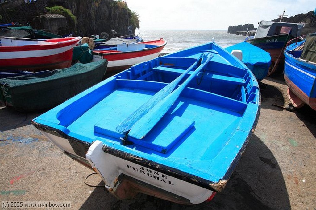 Camara de Lobos
Madeira